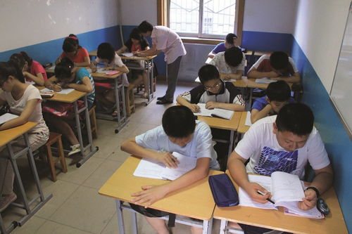 文博學(xué)校開(kāi)啟教育培訓(xùn)新模式